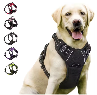 Best Pets Forever™ - Harnais pour Chiens