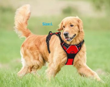 Best Pets Forever™ - Harnais pour Chiens