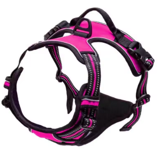 Best Pets Forever™ - Harnais pour Chiens